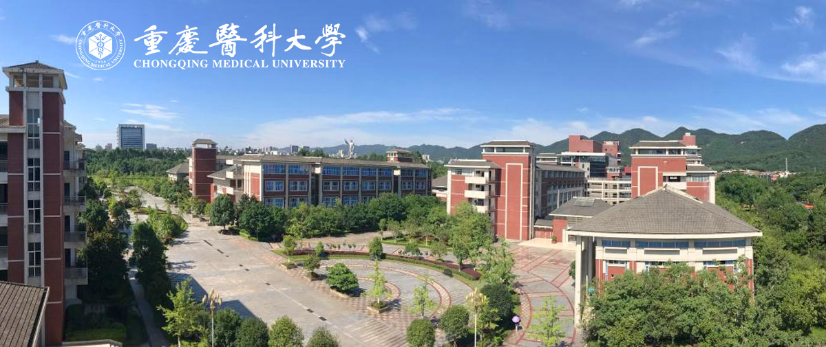 重庆医科大学2023年考核招聘高层次紧缺人才简章