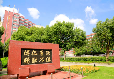 上海交通大学医学院分子医学研究院2023年博士后招聘公告