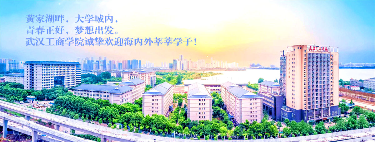 武汉工商学院教师（辅导员、实验员）招聘计划