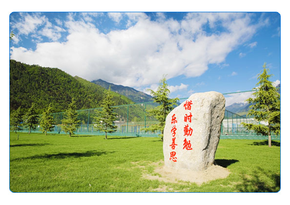 西藏大学农牧学院