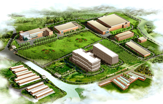 图为我们在建的P3P4项目,以后我们的GLP中心就在这里